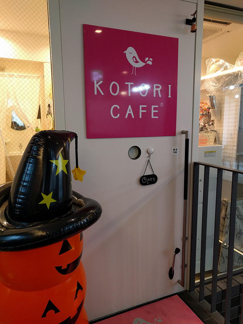 KOTORI CAFE-門口